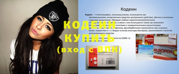 не бодяженный Иннополис