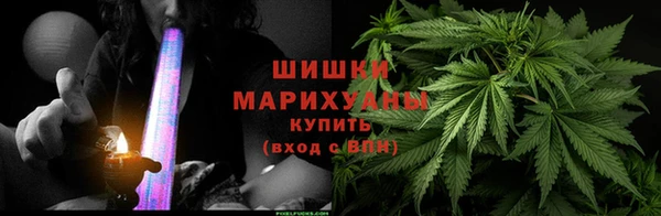 не бодяженный Иннополис