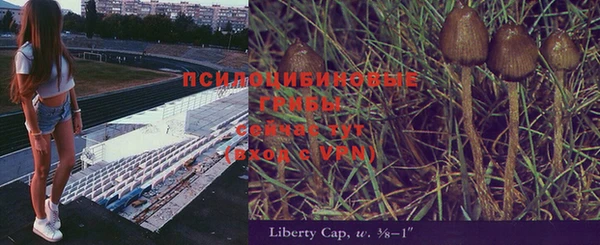 не бодяженный Иннополис