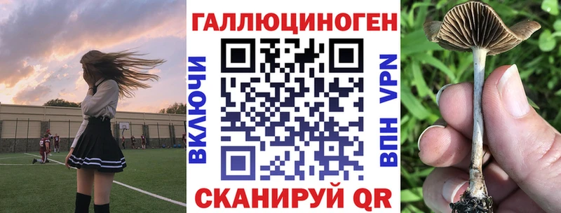 Купить закладки  Льгов  Псилоцибиновые грибы прущие грибы 