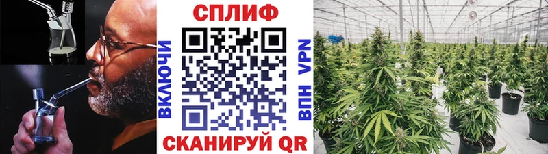 Бошки Шишки гибрид Купить закладки Льгов